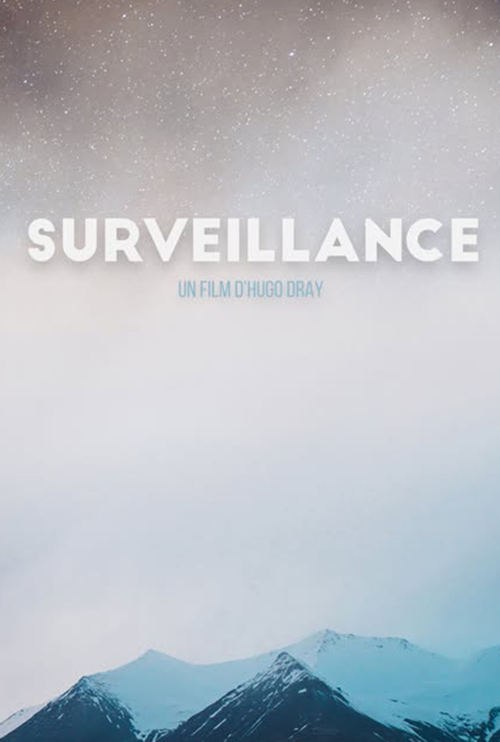 surveillance 27x40